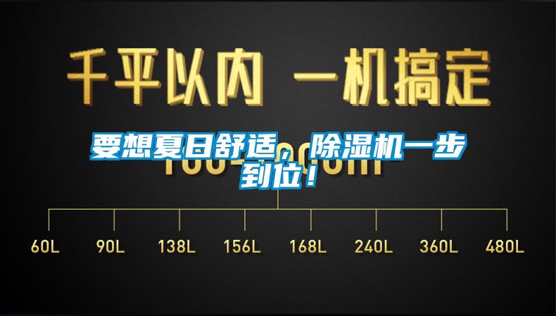 要想夏日舒適，除濕機一步到位！
