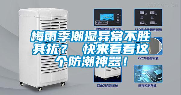 梅雨季潮濕異常不勝其擾？ 快來看看這個防潮神器！