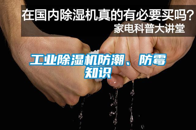 工業(yè)除濕機防潮、防霉知識