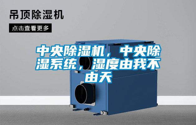 中央除濕機(jī)，中央除濕系統(tǒng)，濕度由我不由天