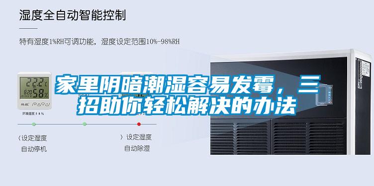 家里陰暗潮濕容易發(fā)霉，三招助你輕松解決的辦法
