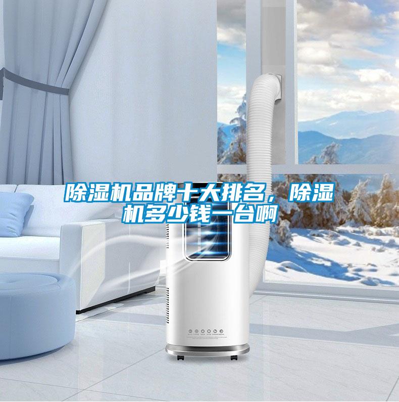 除濕機(jī)品牌十大排名，除濕機(jī)多少錢一臺(tái)啊