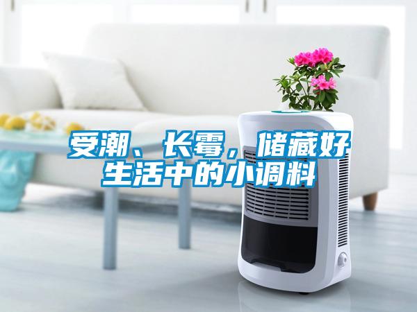 受潮、長霉，儲藏好生活中的小調(diào)料