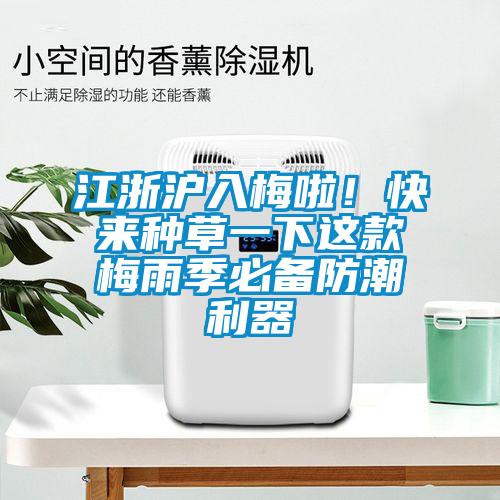 江浙滬入梅啦！快來種草一下這款梅雨季必備防潮利器