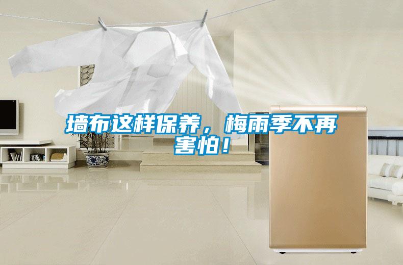 墻布這樣保養(yǎng)，梅雨季不再害怕！