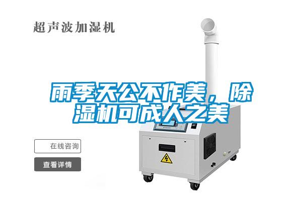 雨季天公不作美，除濕機(jī)可成人之美