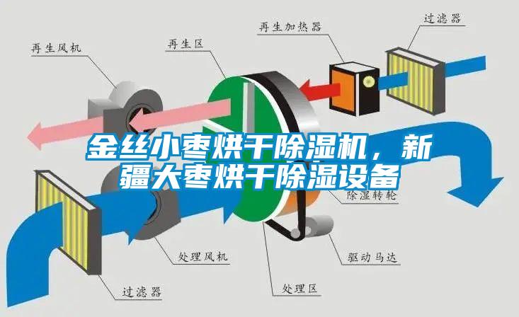 金絲小棗烘干除濕機(jī)，新疆大棗烘干除濕設(shè)備