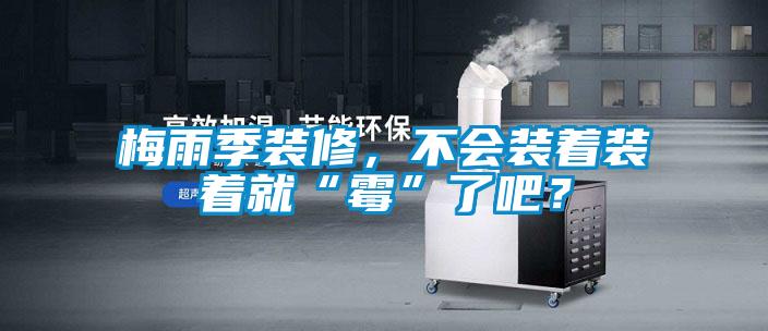 梅雨季裝修，不會裝著裝著就“霉”了吧？