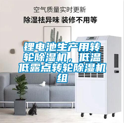 鋰電池生產(chǎn)用轉(zhuǎn)輪除濕機，低溫低露點轉(zhuǎn)輪除濕機組