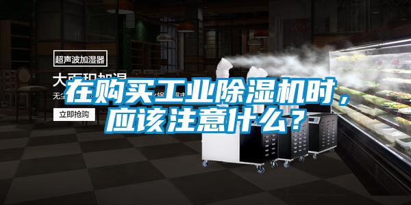 在購買工業(yè)除濕機(jī)時，應(yīng)該注意什么？
