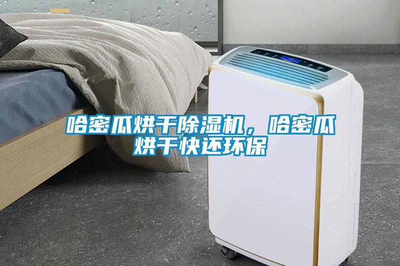 哈密瓜烘干除濕機，哈密瓜烘干快還環(huán)保