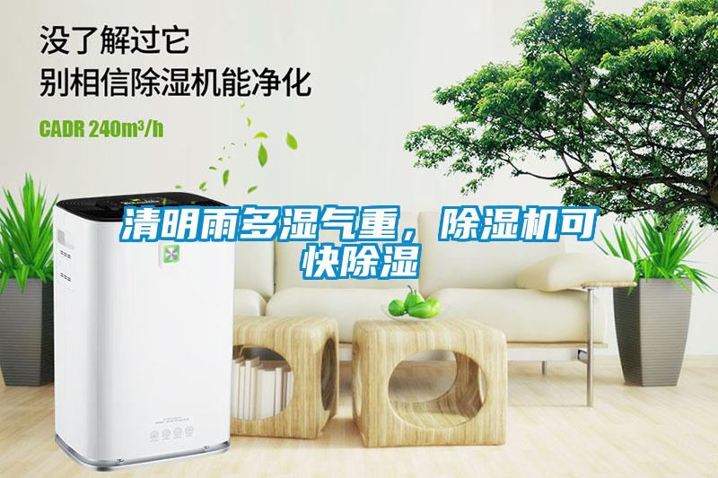 清明雨多濕氣重，除濕機(jī)可快除濕