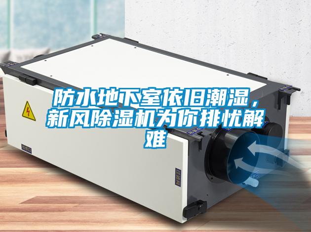 防水地下室依舊潮濕，新風除濕機為你排憂解難