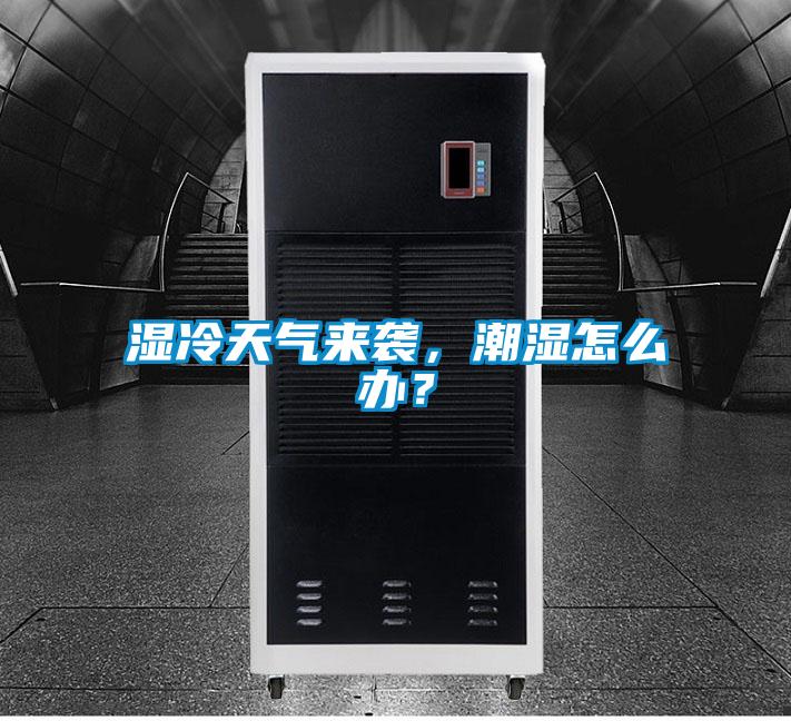 濕冷天氣來(lái)襲，潮濕怎么辦？