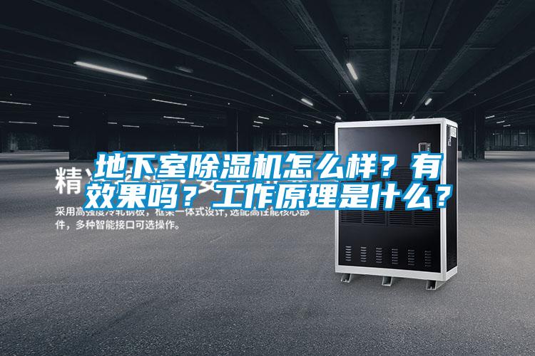 地下室除濕機怎么樣？有效果嗎？工作原理是什么？