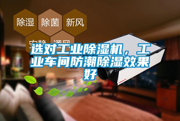 選對(duì)工業(yè)除濕機(jī)，工業(yè)車間防潮除濕效果好