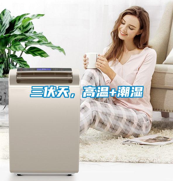 三伏天，高溫+潮濕