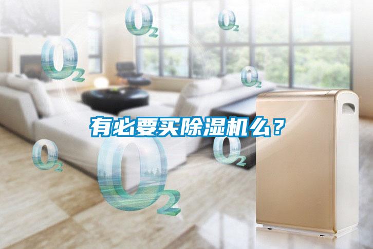 有必要買除濕機么？
