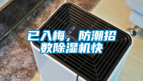 已入梅，防潮招數(shù)除濕機快