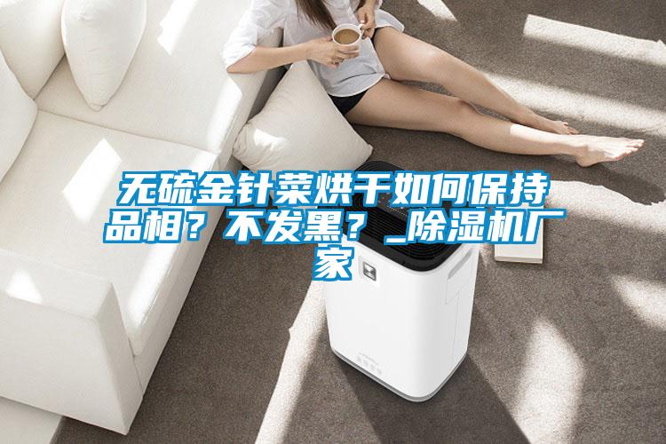 無硫金針菜烘干如何保持品相？不發(fā)黑？_除濕機(jī)廠家