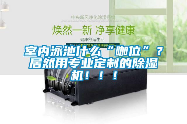 室內(nèi)泳池什么“咖位”？居然用專業(yè)定制的除濕機(jī)?。?！