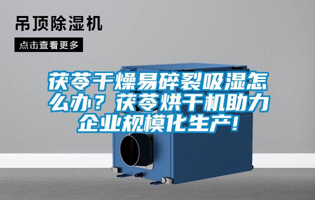茯苓干燥易碎裂吸濕怎么辦？茯苓烘干機助力企業(yè)規(guī)?；a(chǎn)!
