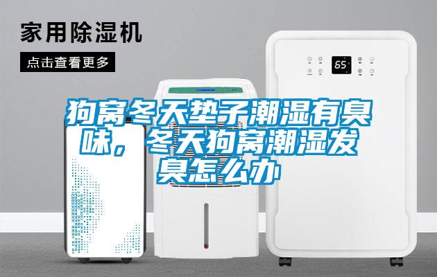 狗窩冬天墊子潮濕有臭味，冬天狗窩潮濕發(fā)臭怎么辦