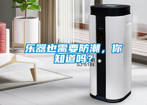 樂(lè)器也需要防潮，你知道嗎？