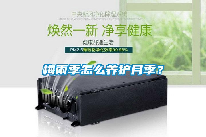 梅雨季怎么養(yǎng)護月季？