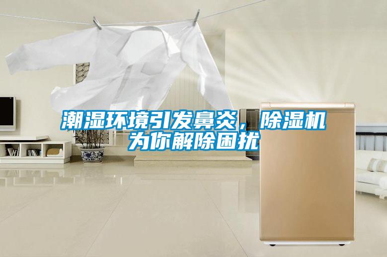 潮濕環(huán)境引發(fā)鼻炎，除濕機(jī)為你解除困擾