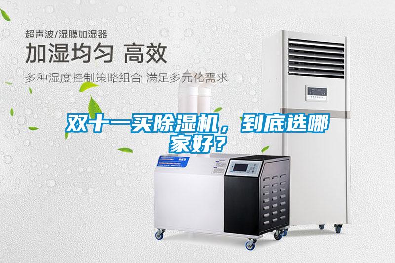 雙十一買除濕機(jī)，到底選哪家好？