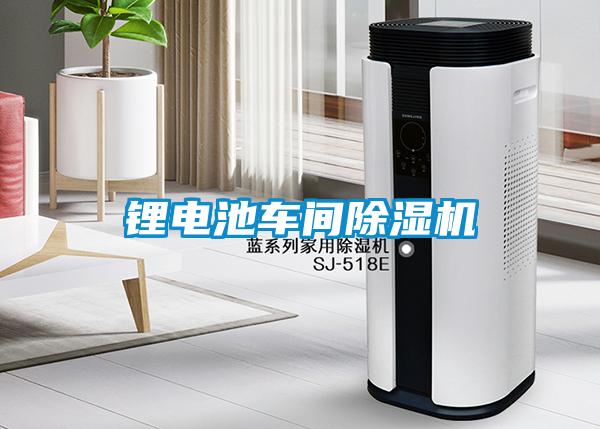 鋰電池車(chē)間除濕機(jī)