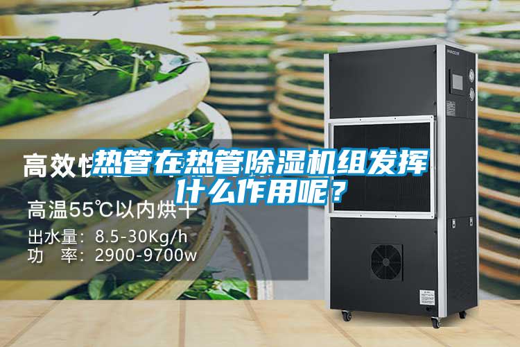 熱管在熱管除濕機組發(fā)揮什么作用呢？