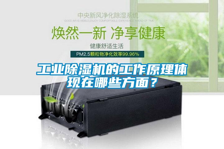 工業(yè)除濕機(jī)的工作原理體現(xiàn)在哪些方面？