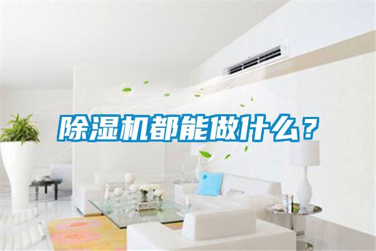 除濕機(jī)都能做什么？