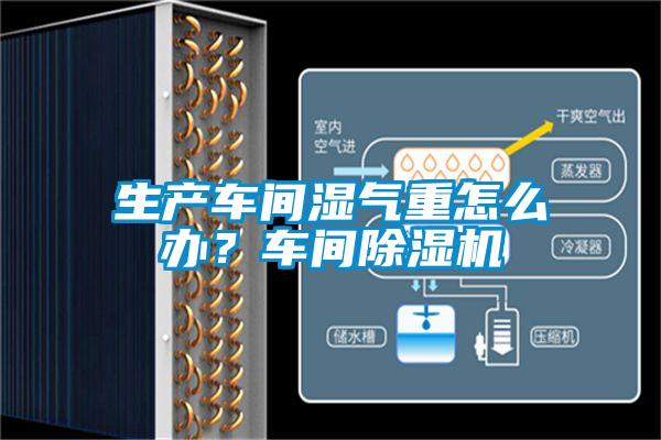 生產(chǎn)車間濕氣重怎么辦？車間除濕機(jī)