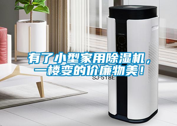 有了小型家用除濕機，一樓變的價廉物美！