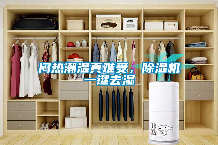 悶熱潮濕真難受，除濕機一鍵去濕