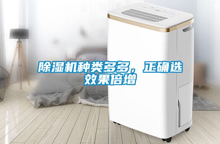 除濕機(jī)種類多多，正確選效果倍增