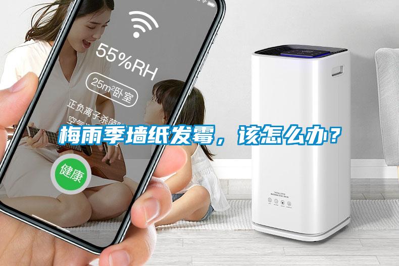 梅雨季墻紙發(fā)霉，該怎么辦？