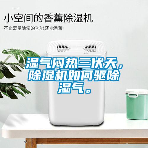 濕氣悶熱三伏天，除濕機如何驅(qū)除濕氣。