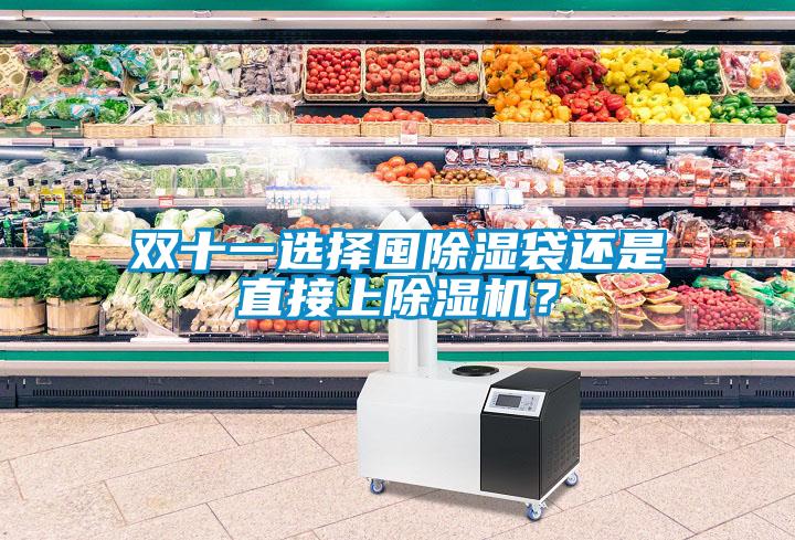雙十一選擇囤除濕袋還是直接上除濕機？