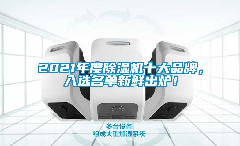 2021年度除濕機十大品牌，入選名單新鮮出爐！