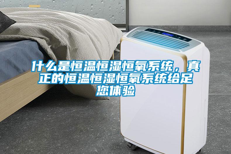 什么是恒溫恒濕恒氧系統(tǒng)，真正的恒溫恒濕恒氧系統(tǒng)給足您體驗