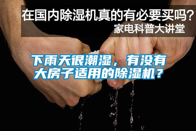 下雨天很潮濕，有沒有大房子適用的除濕機(jī)？