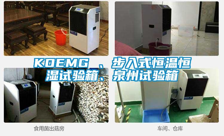 KOEMG 、步入式恒溫恒濕試驗(yàn)箱、泉州試驗(yàn)箱