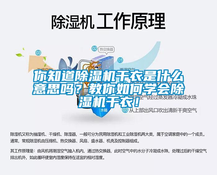 你知道除濕機干衣是什么意思嗎？教你如何學(xué)會除濕機干衣！