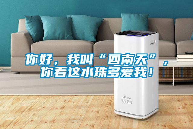 你好，我叫“回南天”，你看這水珠多愛我！