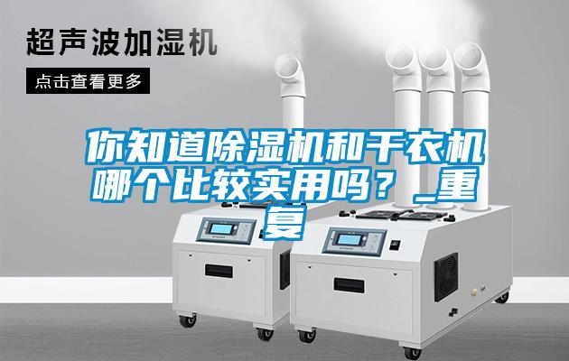 你知道除濕機(jī)和干衣機(jī)哪個(gè)比較實(shí)用嗎？_重復(fù)