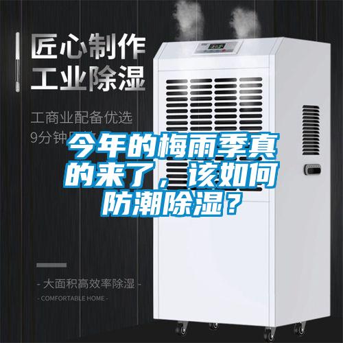 今年的梅雨季真的來(lái)了，該如何防潮除濕？
